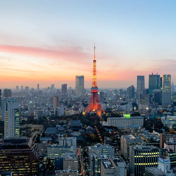 Tokyo Skyline at night. — Stock Photo, Image