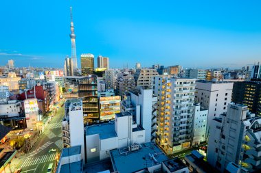 Geceleri Asakusa bölgesi. Tokyo - Japonya