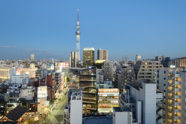 Geceleri Asakusa bölgesi. Tokyo - Japonya