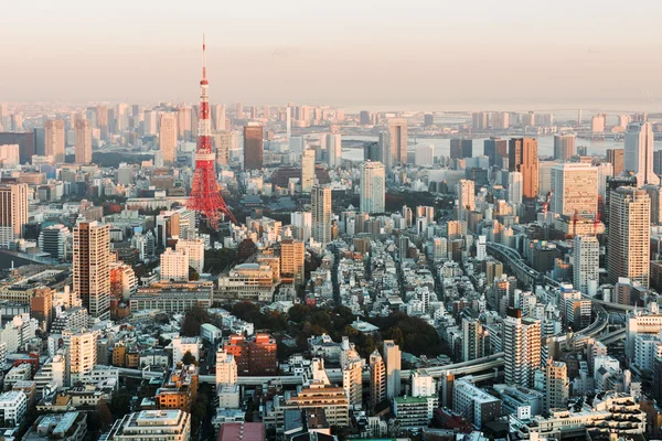 Tokyo skyline naplementekor. — Stock Fotó