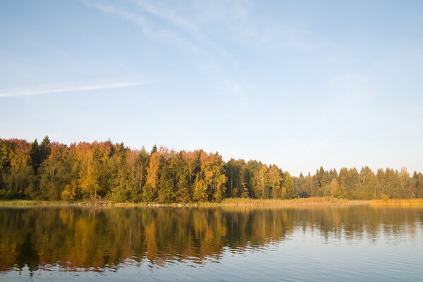 Рассвет на озере осенью. Деревья с жёлтыми листьями
