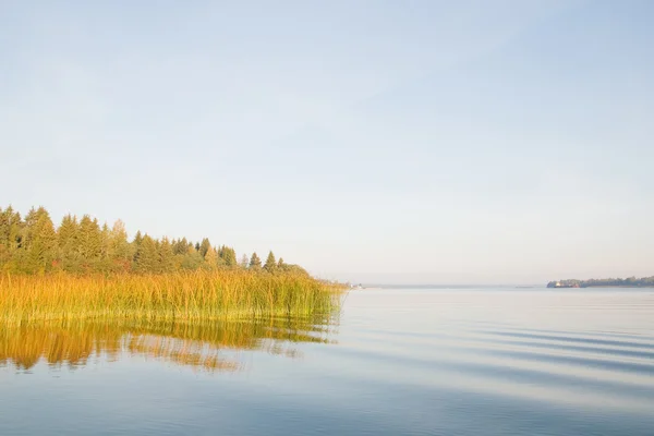 Morgendämmerung am See im Herbst. Bäume mit gelben Blättern — Stockfoto