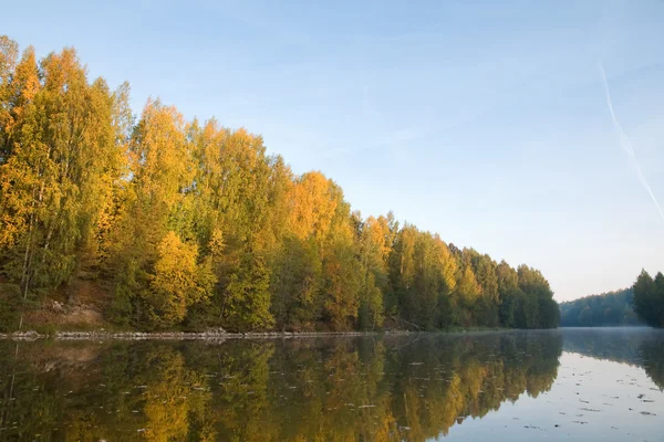 Świt nad jeziorem w jesieni. drzewa z żółtym — Zdjęcie stockowe