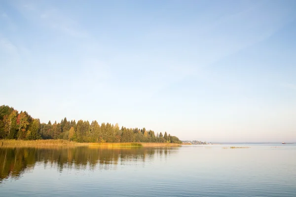 Amanecer en el lago en otoño. Árboles con hojas amarillas Imágenes de stock libres de derechos