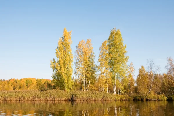 Осінь це час на озері, у Росії. — стокове фото