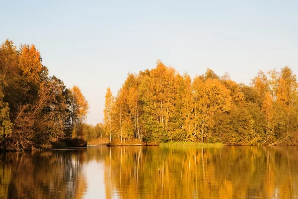 Herbstwald am Ufer des Flusses. Nordrussland. — Stockfoto