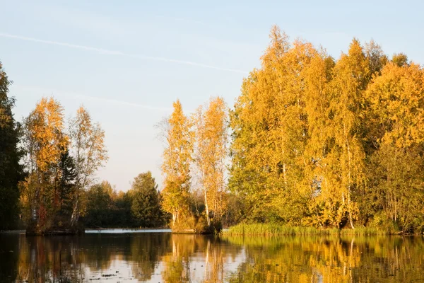 Herbstwald am Ufer des Flusses. Nordrussland. — Stockfoto