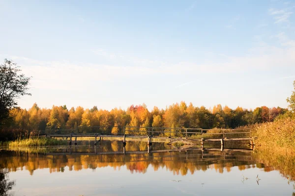 Most na rzece. Jesień las, północnej Rosji — Zdjęcie stockowe