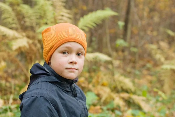 Portret van een jongen. Een wandeling in het najaar Park Stockafbeelding