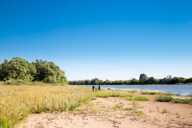 Nehrin kıyısındaki adanın kumlu kıyısı. Yaz günü