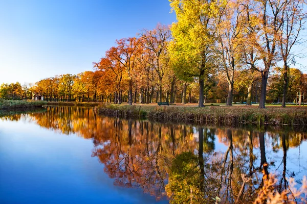 Flusslandschaft und Bäume bei sonnigem Tag — Stockfoto