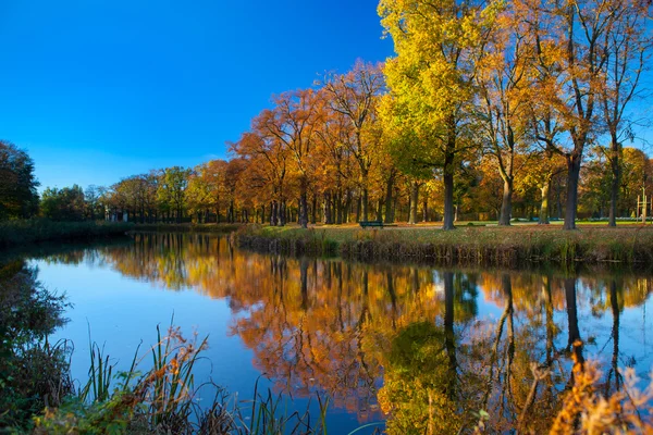 Flusslandschaft und Bäume bei sonnigem Tag — Stockfoto