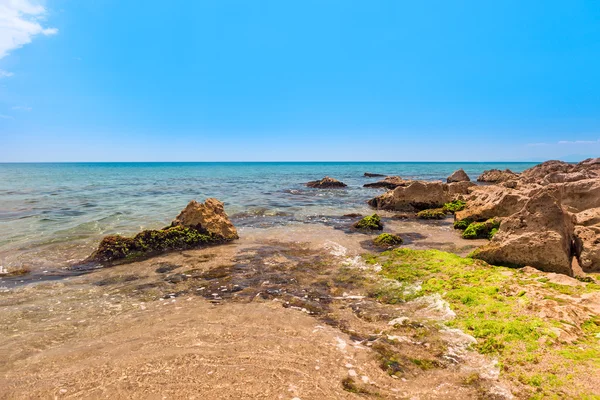 Pedras em um fundo de mar com — Fotografia de Stock