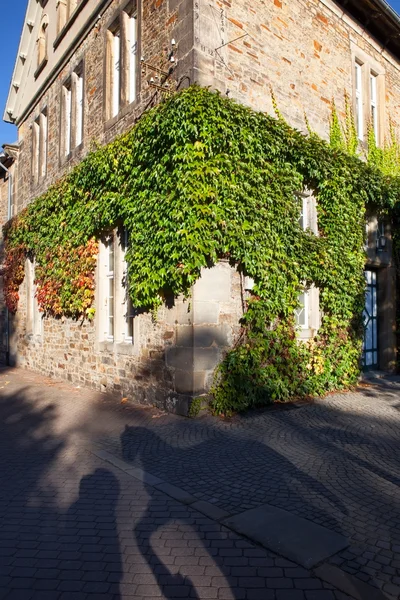 Traditionell hörnet hus täckt av murgröna — Stockfoto