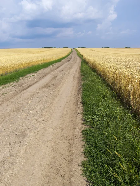 Άδειο επαρχιάκο δρόμο μέσα από χωράφια με το σιτάρι. Ουκρανία, Europ — Φωτογραφία Αρχείου