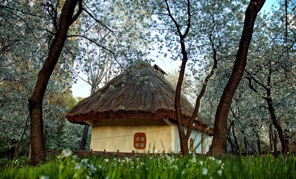 A Pirogovo közelében Kiev tavaszán ukrán falu — Stock Fotó