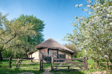 Ukrayna Kiev yakınındaki Pirogovo baharda köyde