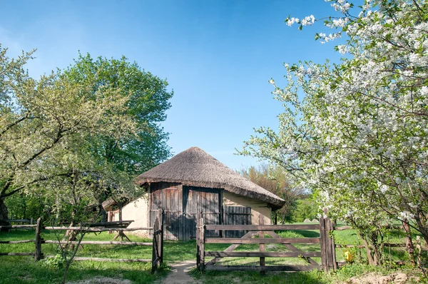 Pueblo ucraniano en la primavera en Pirogovo cerca de Kiev — Foto de Stock