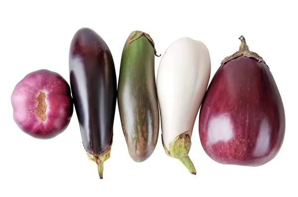 Fresh eggplant on a white background — Stock Photo, Image