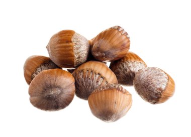 Fındıklar beyaz üzerine izole