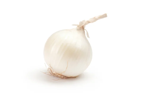 Cebolla blanca sobre fondo blanco —  Fotos de Stock