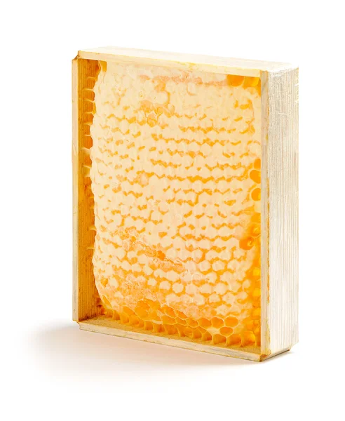 Söt honeycomb isolerad på vit — Stockfoto