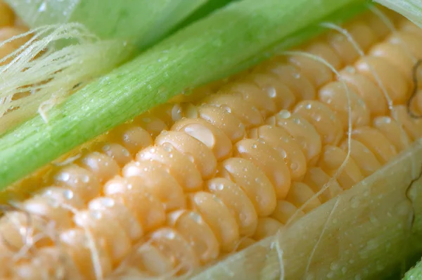 Grains of ripe corn — Stock Photo, Image