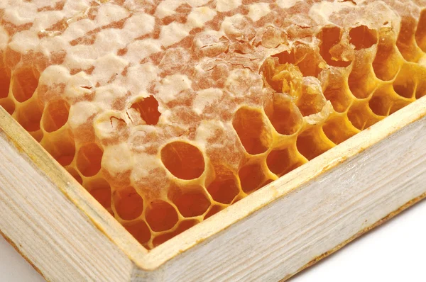 Söt honeycomb isolerad på vit — Stockfoto