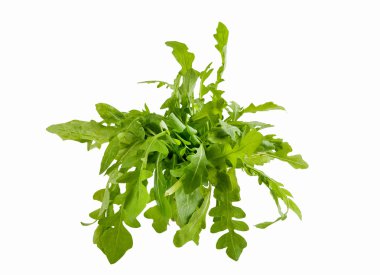 Fresh arugula isolated in a white background