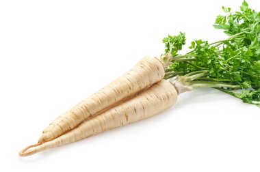 taze maydanoz kökü yaprak beyaz zemin üzerine