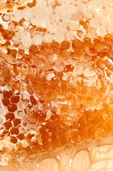 Yellow honeycomb slice — Stock Photo, Image