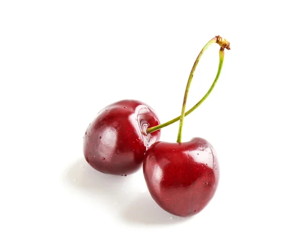 Cereza aislada sobre fondo blanco — Foto de Stock