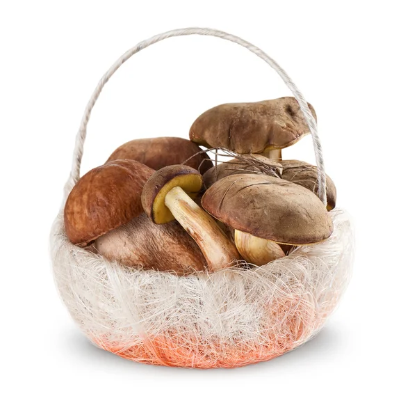 Boletus edulis och vit svamp i korgen på vit ba — Stockfoto