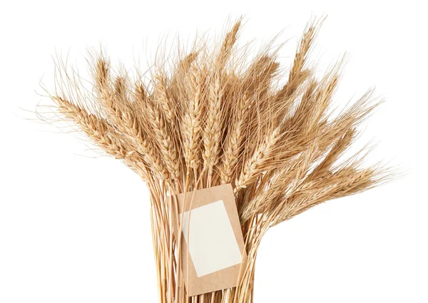 Bainha de trigo com uma etiqueta de preço sobre um fundo branco — Fotografia de Stock