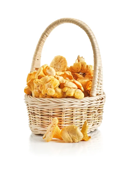 Chanterelles dans un panier sur fond blanc — Photo