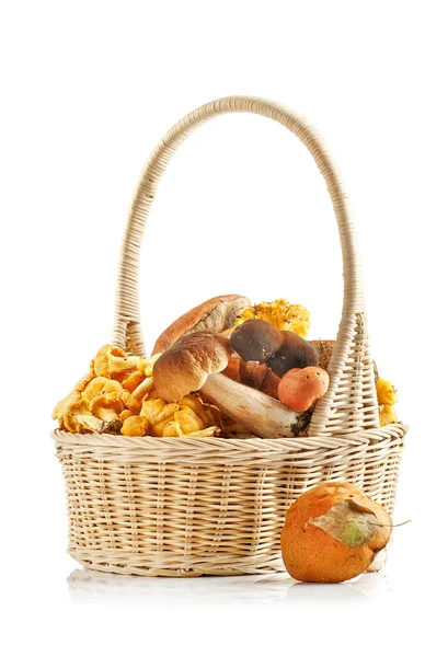 Assorted mushrooms in a basket on a white background — Stock Photo, Image