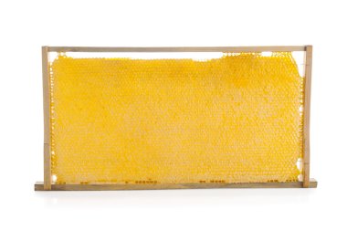 Beyaz bir arka plan üzerinde izole mezarda petek