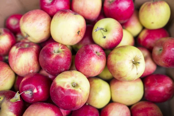 Skupina červená jablka — Stock fotografie