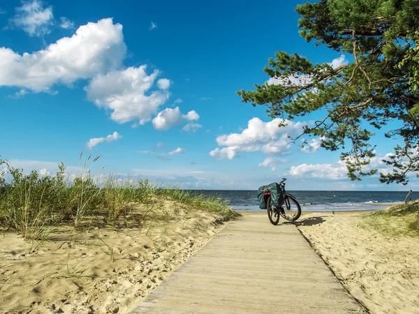 Bicycle standing on a wooden path on the coast of Baltic — Stock Photo, Image