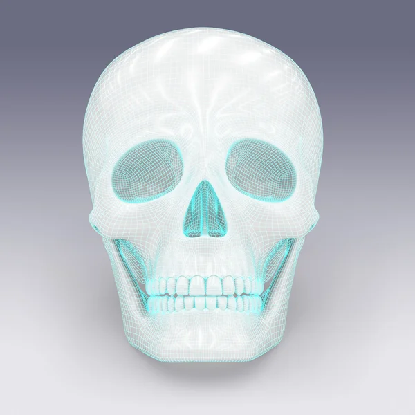 Skull with grid on the white background — Stock Photo, Image