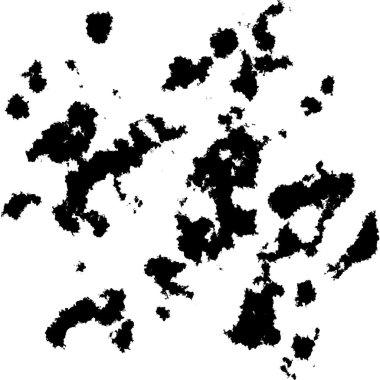 Şablon bir fırça /