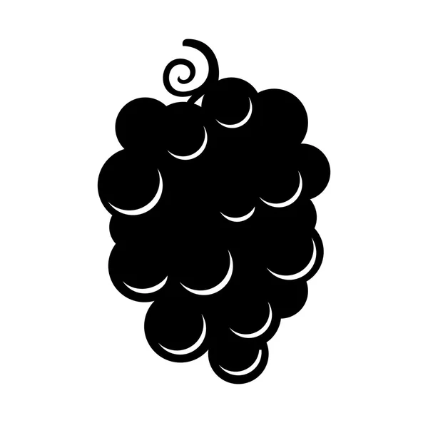 Bouquet de raisins — Image vectorielle