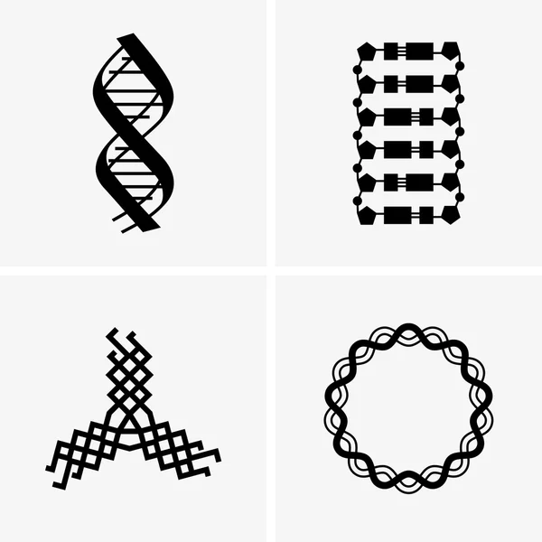 ADN, différentes formes — Image vectorielle