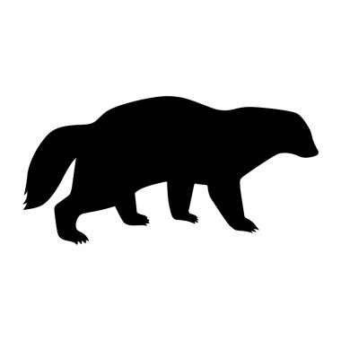 Wolverine, gölge resim