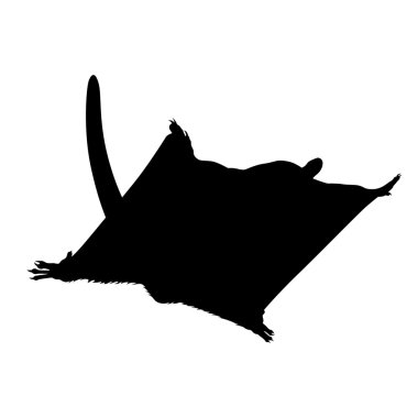 Şeker planör, gölge resim