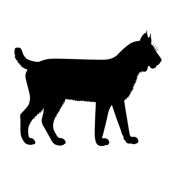 Lynx, imagem de sombra — Vetor de Stock