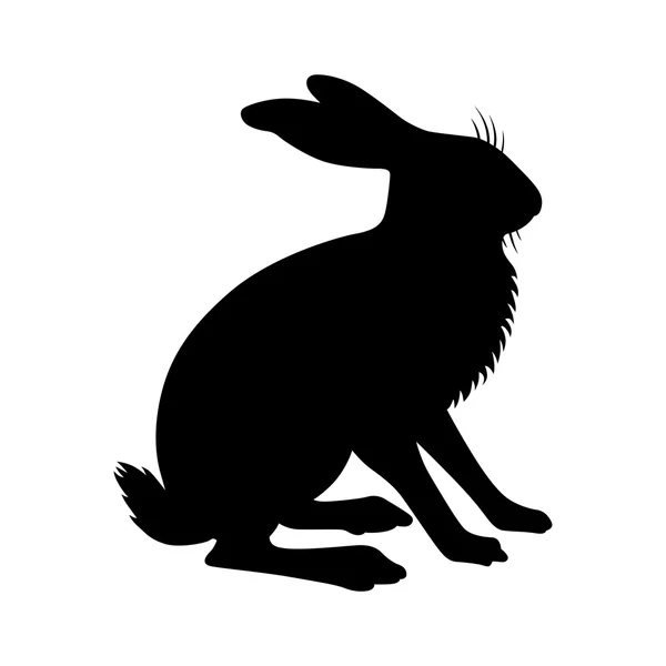 Hare, shade picture — Stock Photo, Image