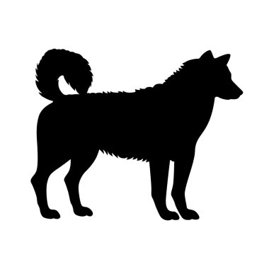 Kızak köpeği, gölge resim