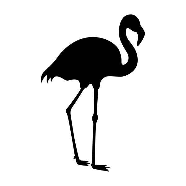 Flamingo, imagine de umbră — Vector de stoc