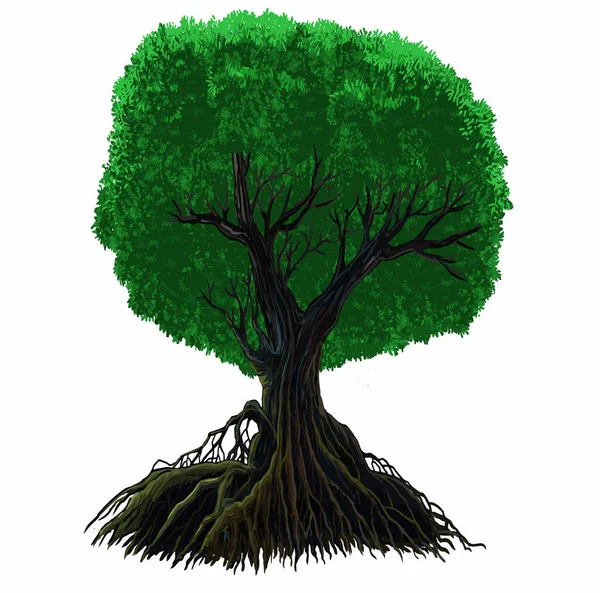 Ilustración Del Gran Árbol Árbol Del Bosque Lluvioso — Vector de stock